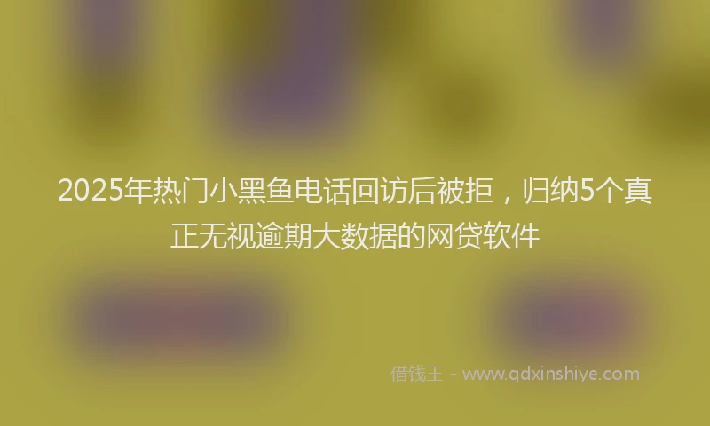 2025年热门小黑鱼电话回访后被拒，归纳5个真正无视逾期大数据的网贷软件