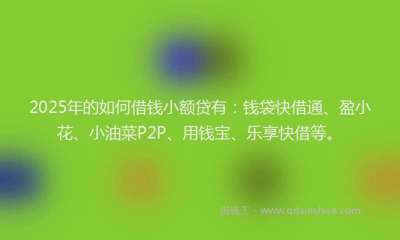 2025年的如何借钱小额贷有：钱袋快借通、盈小花、小油菜P2P、用钱宝、乐享快借等。