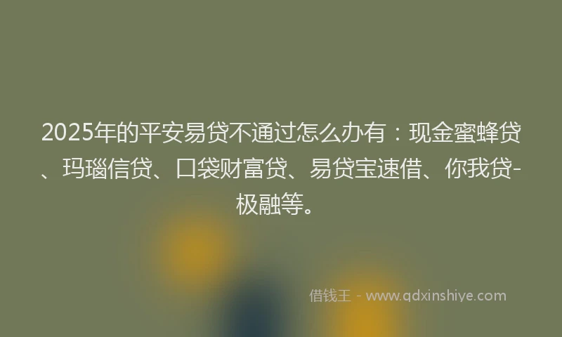 2025年的平安易贷不通过怎么办有：现金蜜蜂贷、玛瑙信贷、口袋财富贷、易贷宝速借、你我贷-极融等。
