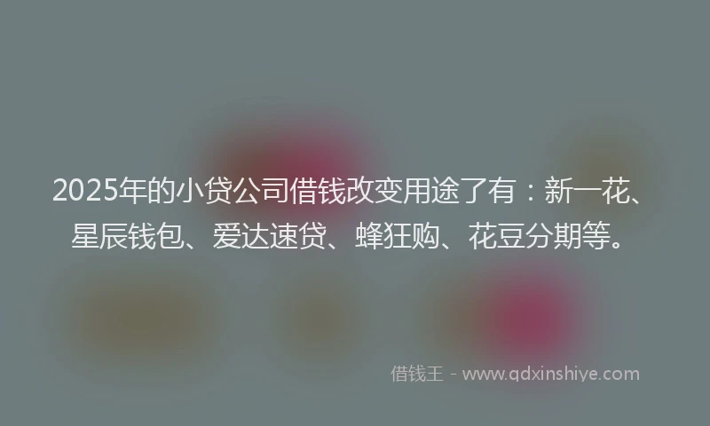 2025年的小贷公司借钱改变用途了有：新一花、星辰钱包、爱达速贷、蜂狂购、花豆分期等。
