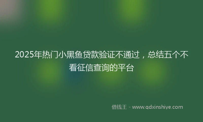 2025年热门小黑鱼贷款验证不通过，总结五个不看征信查询的平台