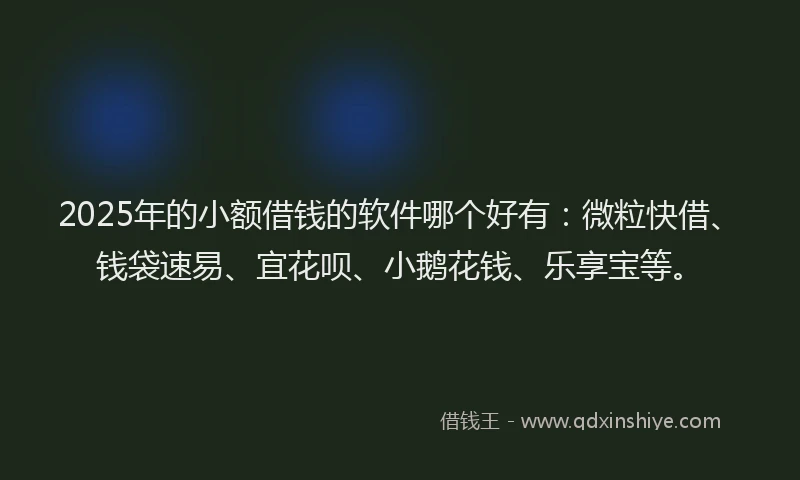 2025年的小额借钱的软件哪个好有：微粒快借、钱袋速易、宜花呗、小鹅花钱、乐享宝等。