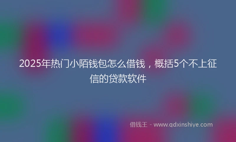 2025年热门小陌钱包怎么借钱，概括5个不上征信的贷款软件