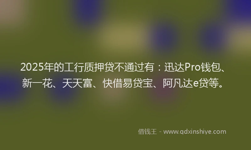 2025年的工行质押贷不通过有：迅达Pro钱包、新一花、天天富、快借易贷宝、阿凡达e贷等。