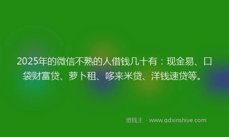 2025年的微信不熟的人借钱几十有：现金易、口袋财富贷、萝卜租、哆来米贷、洋钱速贷等。