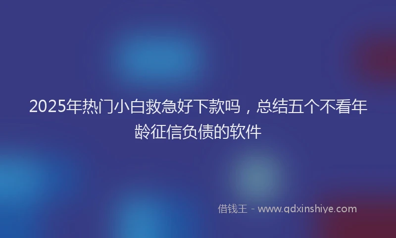 2025年热门小白救急好下款吗，总结五个不看年龄征信负债的软件