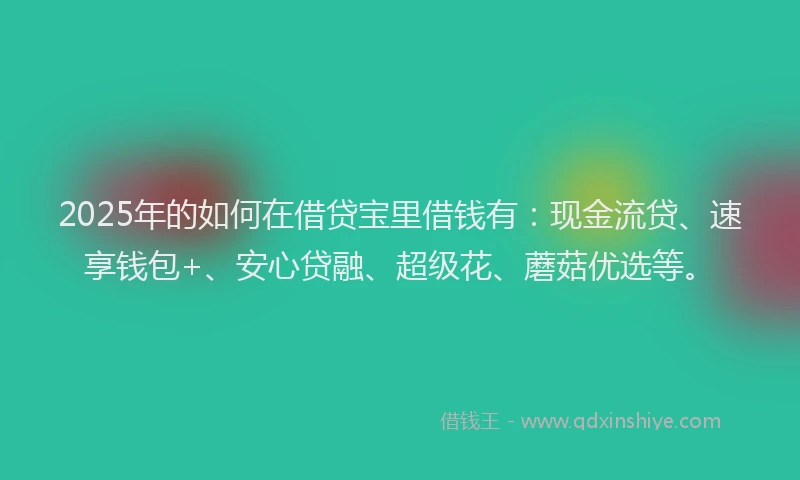 2025年的如何在借贷宝里借钱有：现金流贷、速享钱包+、安心贷融、超级花、蘑菇优选等。