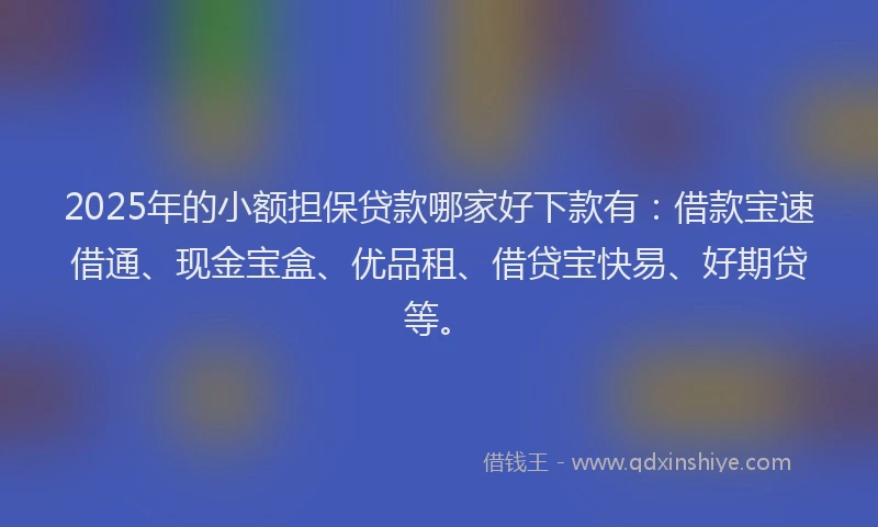 2025年的小额担保贷款哪家好下款有：借款宝速借通、现金宝盒、优品租、借贷宝快易、好期贷等。