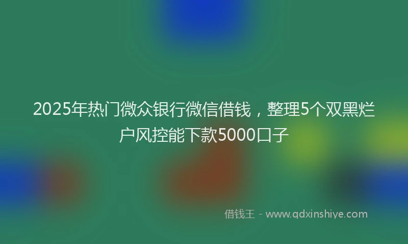 2025年热门微众银行微信借钱，整理5个双黑烂户风控能下款5000口子