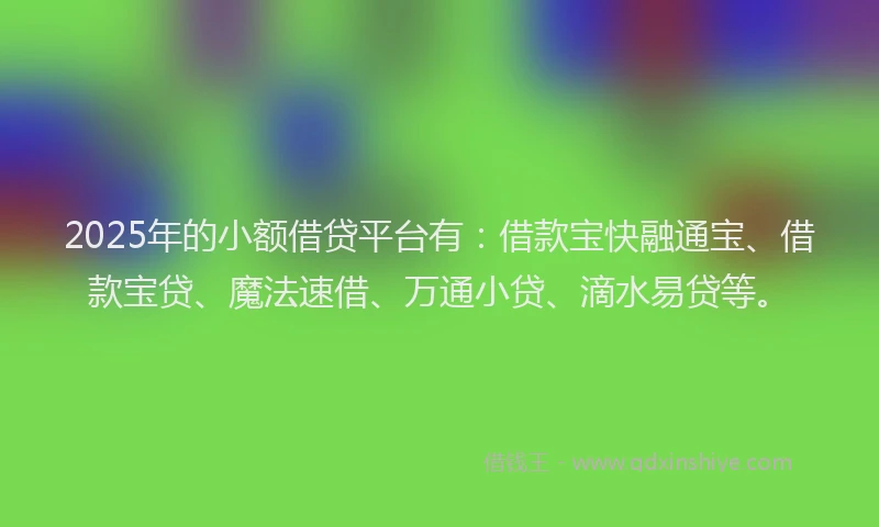 2025年的小额借贷平台有：借款宝快融通宝、借款宝贷、魔法速借、万通小贷、滴水易贷等。