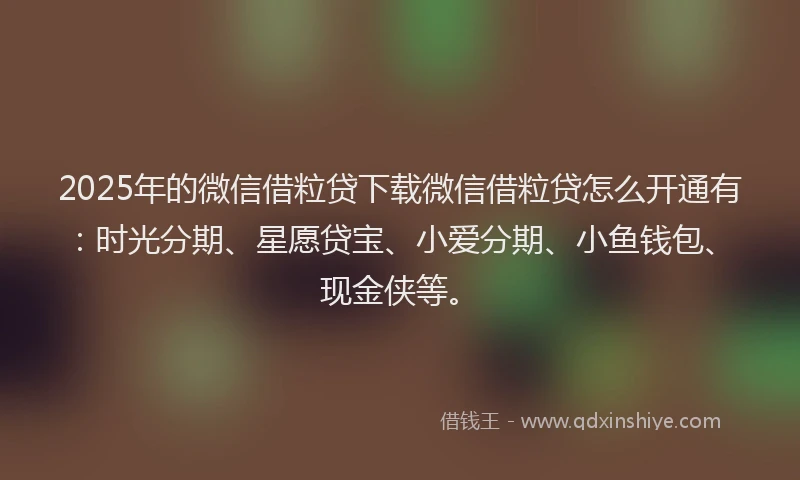 2025年的微信借粒贷下载微信借粒贷怎么开通有：时光分期、星愿贷宝、小爱分期、小鱼钱包、现金侠等。