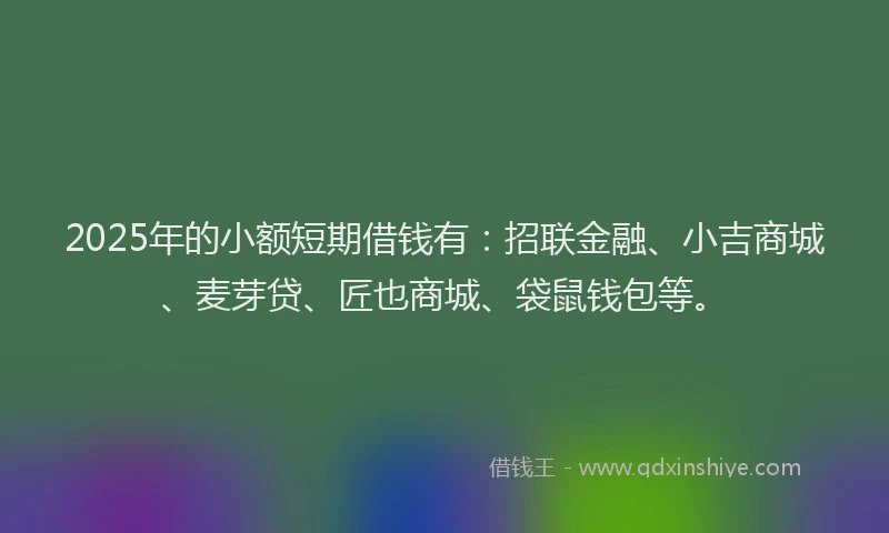 2025年的小额短期借钱有：招联金融、小吉商城、麦芽贷、匠也商城、袋鼠钱包等。