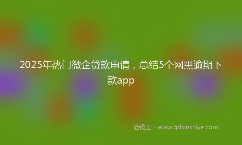 2025年热门微企贷款申请，总结5个网黑逾期下款app
