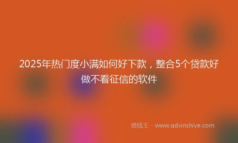 2025年热门度小满如何好下款，整合5个贷款好做不看征信的软件