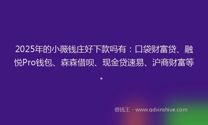 2025年的小薇钱庄好下款吗有：口袋财富贷、融悦Pro钱包、森森借呗、现金贷速易、沪商财富等。