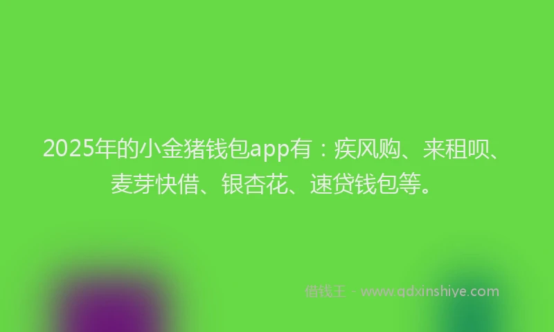 2025年的小金猪钱包app有：疾风购、来租呗、麦芽快借、银杏花、速贷钱包等。