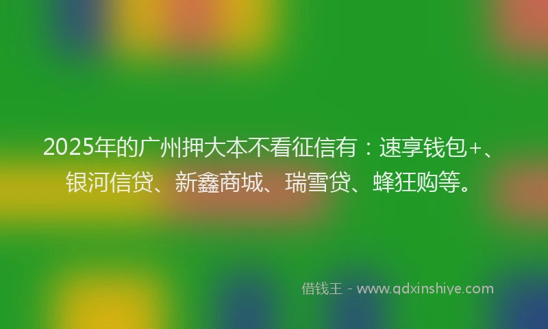 2025年的广州押大本不看征信有：速享钱包+、银河信贷、新鑫商城、瑞雪贷、蜂狂购等。