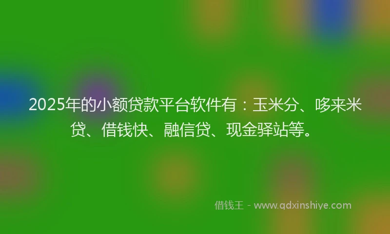 2025年的小额贷款平台软件有：玉米分、哆来米贷、借钱快、融信贷、现金驿站等。
