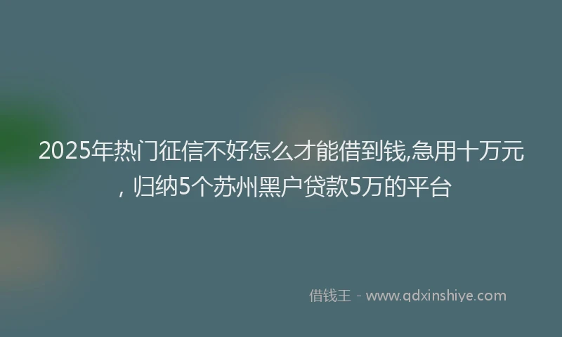 2025年热门征信不好怎么才能借到钱,急用十万元，归纳5个苏州黑户贷款5万的平台