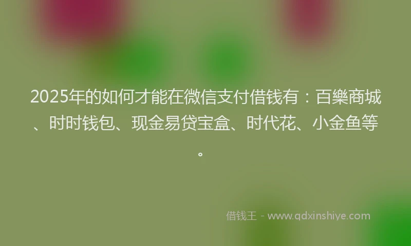 2025年的如何才能在微信支付借钱有：百樂商城、时时钱包、现金易贷宝盒、时代花、小金鱼等。