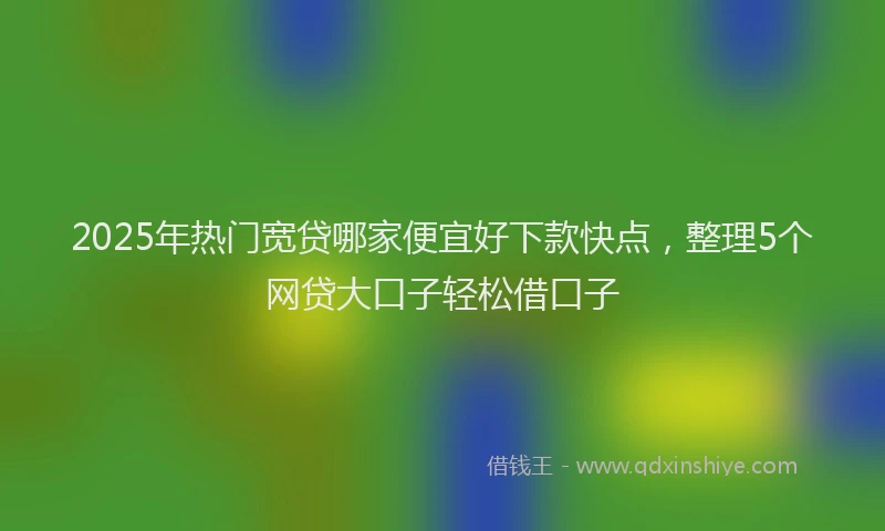 2025年热门宽贷哪家便宜好下款快点，整理5个网贷大口子轻松借口子