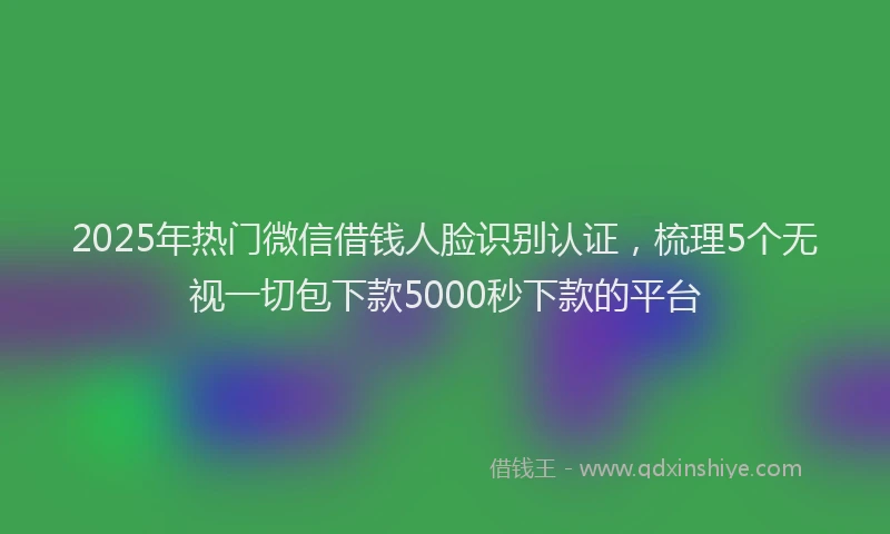 2025年热门微信借钱人脸识别认证，梳理5个无视一切包下款5000秒下款的平台
