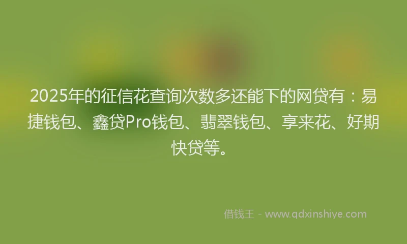 2025年的征信花查询次数多还能下的网贷有：易捷钱包、鑫贷Pro钱包、翡翠钱包、享来花、好期快贷等。