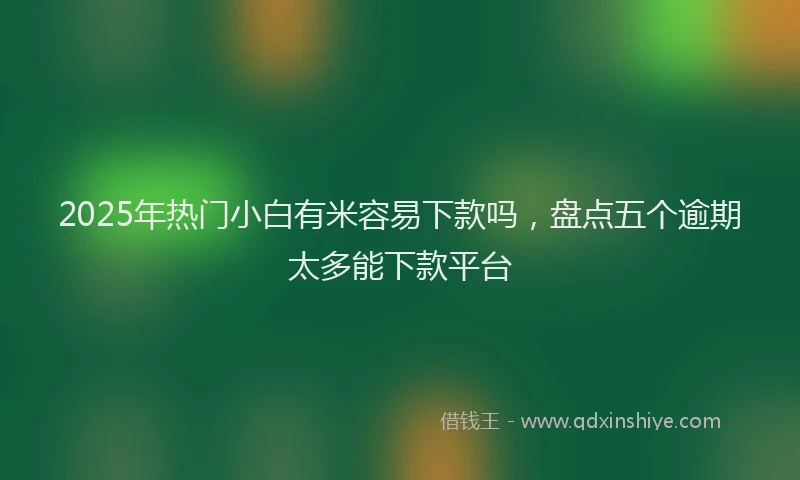 2025年热门小白有米容易下款吗，盘点五个逾期太多能下款平台
