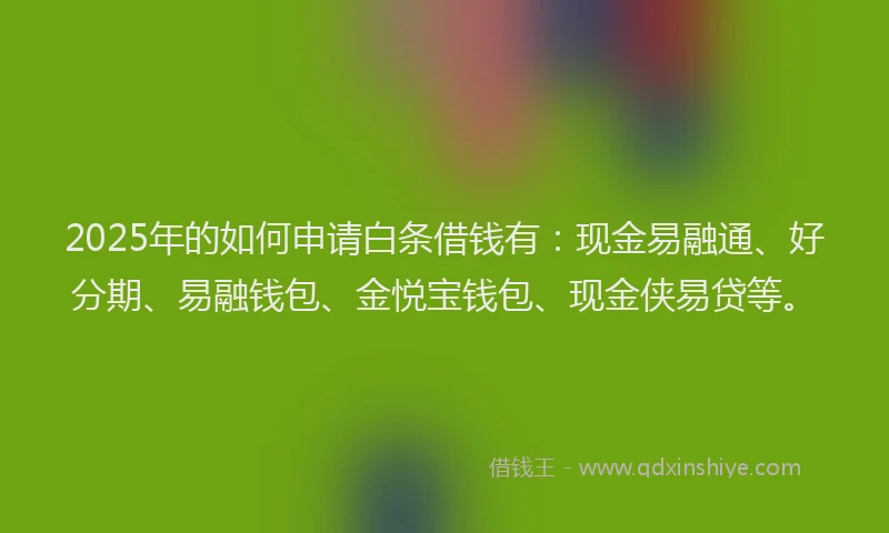 2025年的如何申请白条借钱有：现金易融通、好分期、易融钱包、金悦宝钱包、现金侠易贷等。