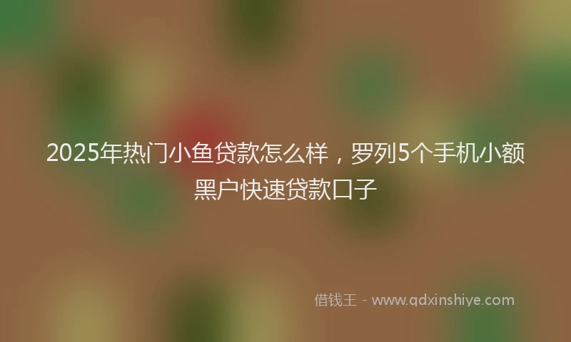 2025年热门小鱼贷款怎么样，罗列5个手机小额黑户快速贷款口子