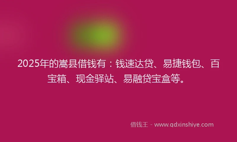 2025年的嵩县借钱有：钱速达贷、易捷钱包、百宝箱、现金驿站、易融贷宝盒等。