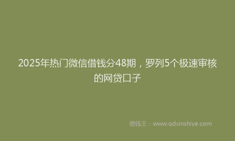 2025年热门微信借钱分48期，罗列5个极速审核的网贷口子