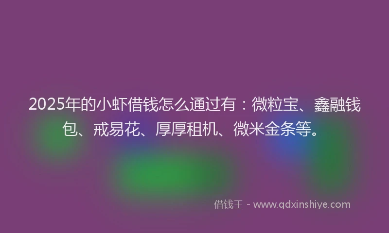 2025年的小虾借钱怎么通过有：微粒宝、鑫融钱包、戒易花、厚厚租机、微米金条等。