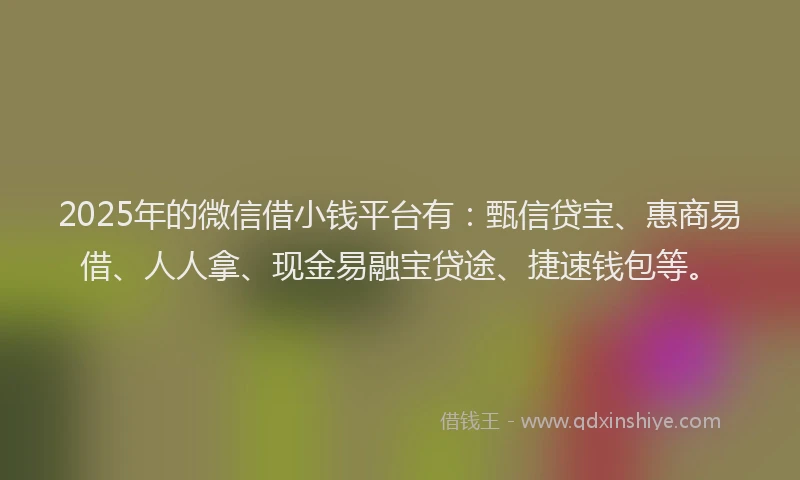 2025年的微信借小钱平台有：甄信贷宝、惠商易借、人人拿、现金易融宝贷途、捷速钱包等。