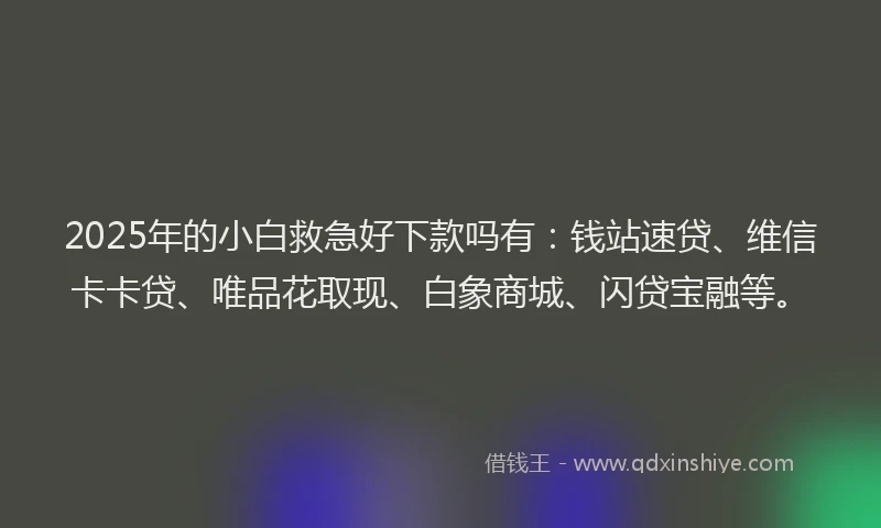 2025年的小白救急好下款吗有：钱站速贷、维信卡卡贷、唯品花取现、白象商城、闪贷宝融等。
