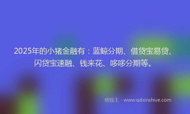 2025年的小猪金融有：蓝鲸分期、借贷宝易贷、闪贷宝速融、钱来花、哆哆分期等。