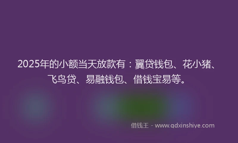 2025年的小额当天放款有:翼贷钱包、花小猪、飞鸟贷、易融钱包、借钱宝易等。