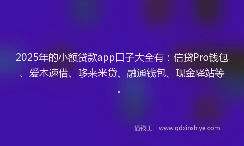 2025年的小额贷款app口子大全有：信贷Pro钱包、爱木速借、哆来米贷、融通钱包、现金驿站等。