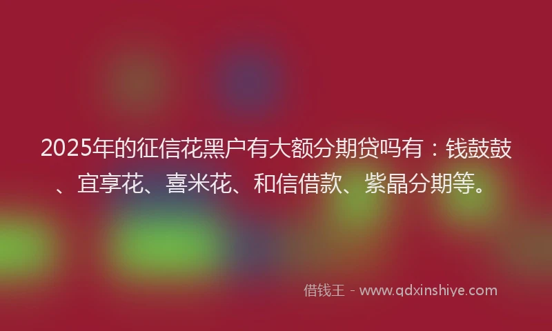 2025年的征信花黑户有大额分期贷吗有：钱鼓鼓、宜享花、喜米花、和信借款、紫晶分期等。