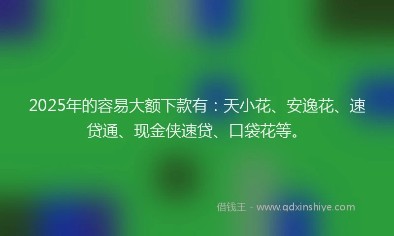 2025年的容易大额下款有：天小花、安逸花、速贷通、现金侠速贷、口袋花等。