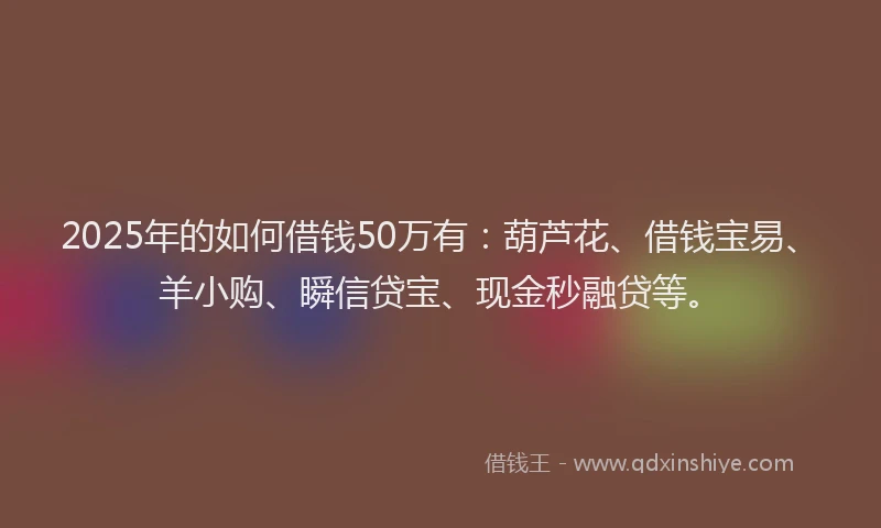 2025年的如何借钱50万有：葫芦花、借钱宝易、羊小购、瞬信贷宝、现金秒融贷等。