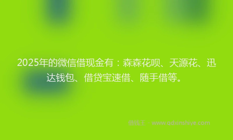 2025年的微信借现金有：森森花呗、天源花、迅达钱包、借贷宝速借、随手借等。