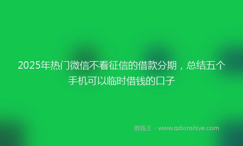 2025年热门微信不看征信的借款分期，总结五个手机可以临时借钱的口子