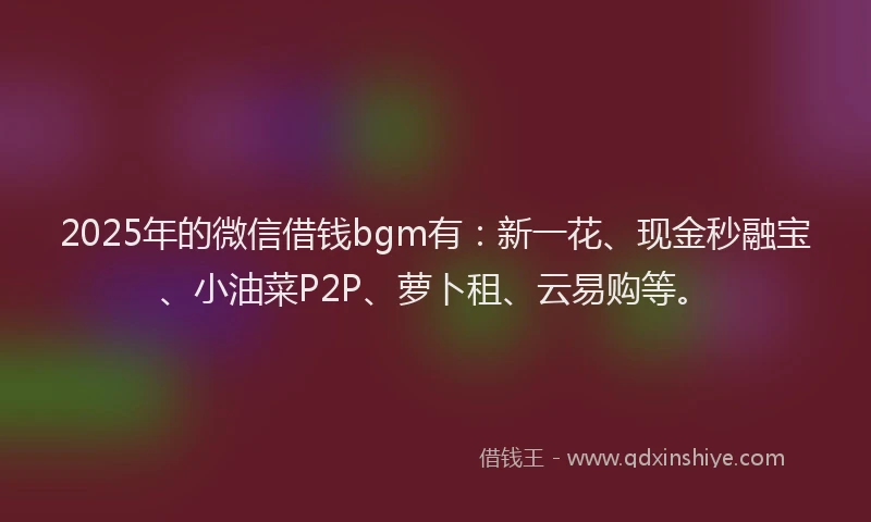 2025年的微信借钱bgm有：新一花、现金秒融宝、小油菜P2P、萝卜租、云易购等。