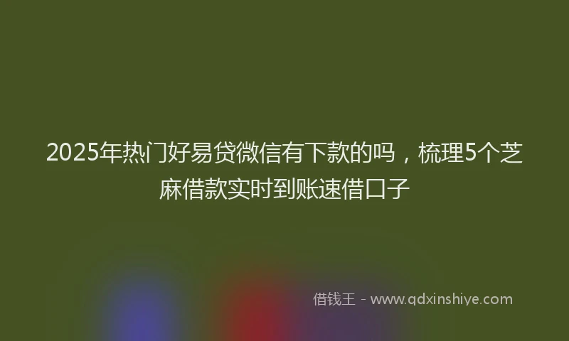 2025年热门好易贷微信有下款的吗，梳理5个芝麻借款实时到账速借口子