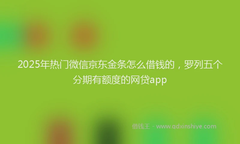 2025年热门微信京东金条怎么借钱的，罗列五个分期有额度的网贷app
