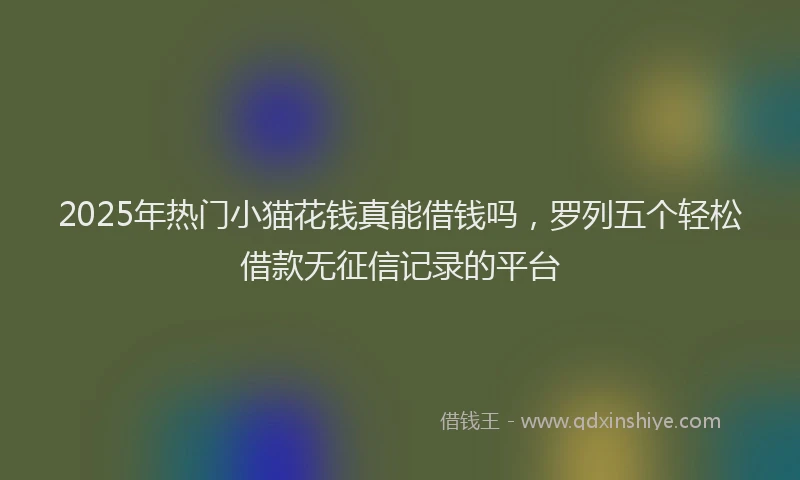 2025年热门小猫花钱真能借钱吗，罗列五个轻松借款无征信记录的平台