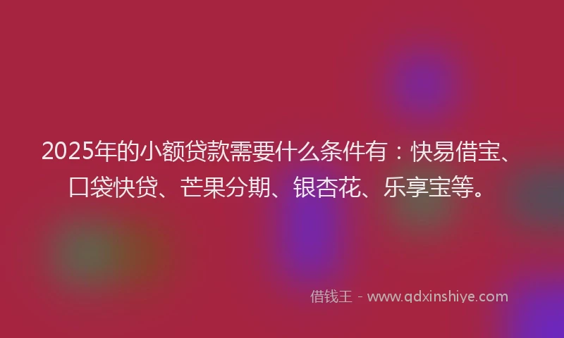 2025年的小额贷款需要什么条件有：快易借宝、口袋快贷、芒果分期、银杏花、乐享宝等。