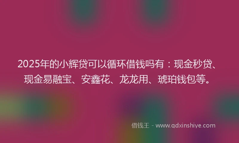 2025年的小辉贷可以循环借钱吗有：现金秒贷、现金易融宝、安鑫花、龙龙用、琥珀钱包等。