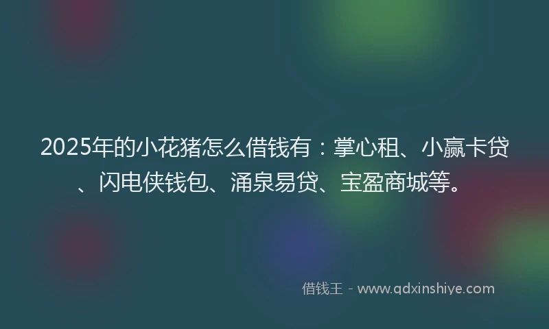 2025年的小花猪怎么借钱有：掌心租、小赢卡贷、闪电侠钱包、涌泉易贷、宝盈商城等。